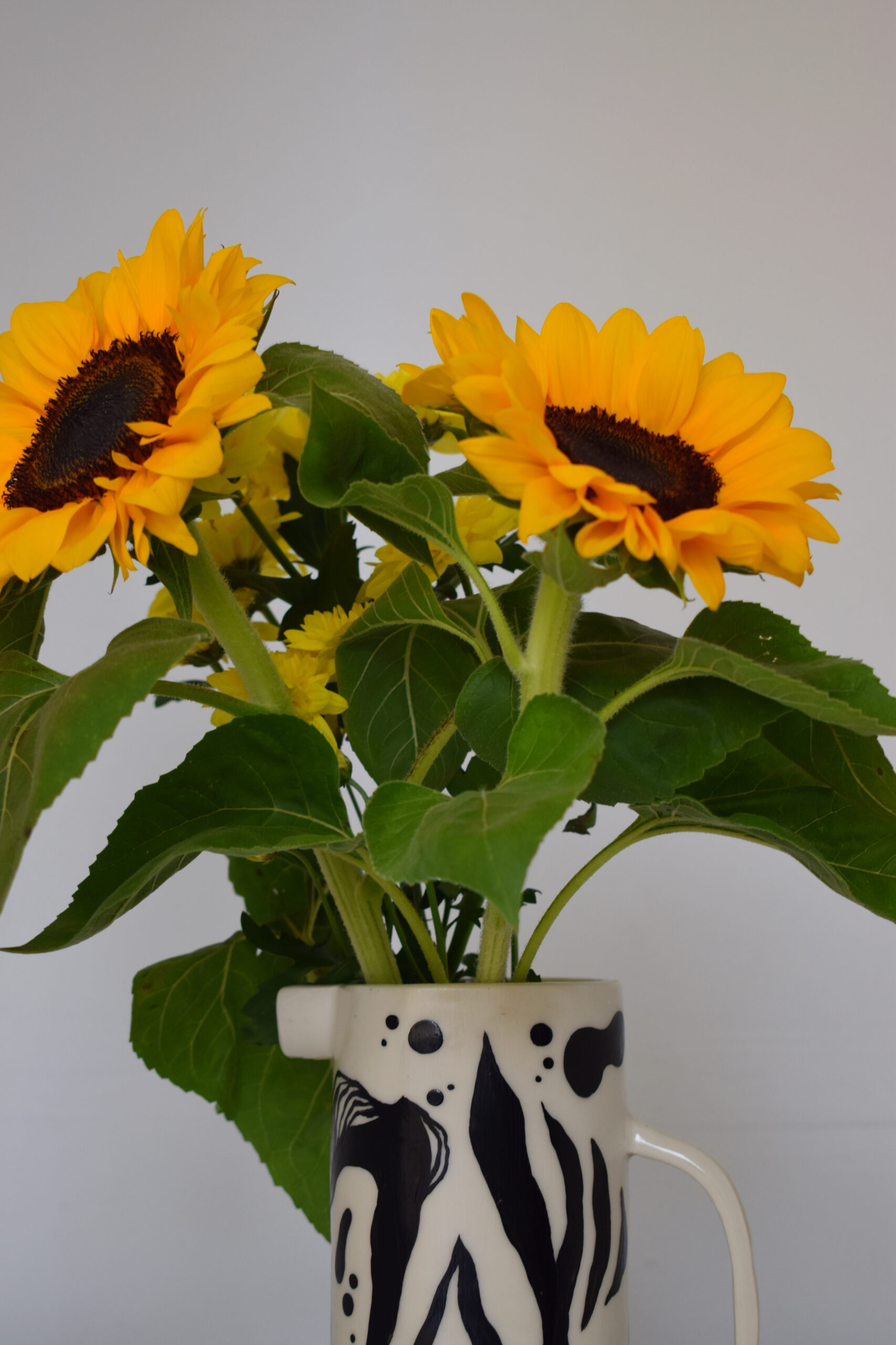 CB8128E6-07F3-44E1-9591-140183963984